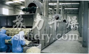 DWC系列脫水蔬菜帶式干燥機(jī)